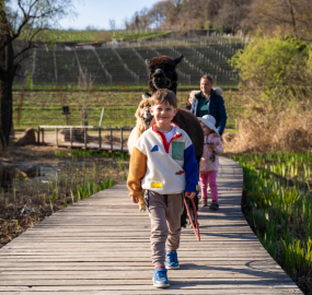 Spielplatz mit Kindern im Gartenhotel Moser - 