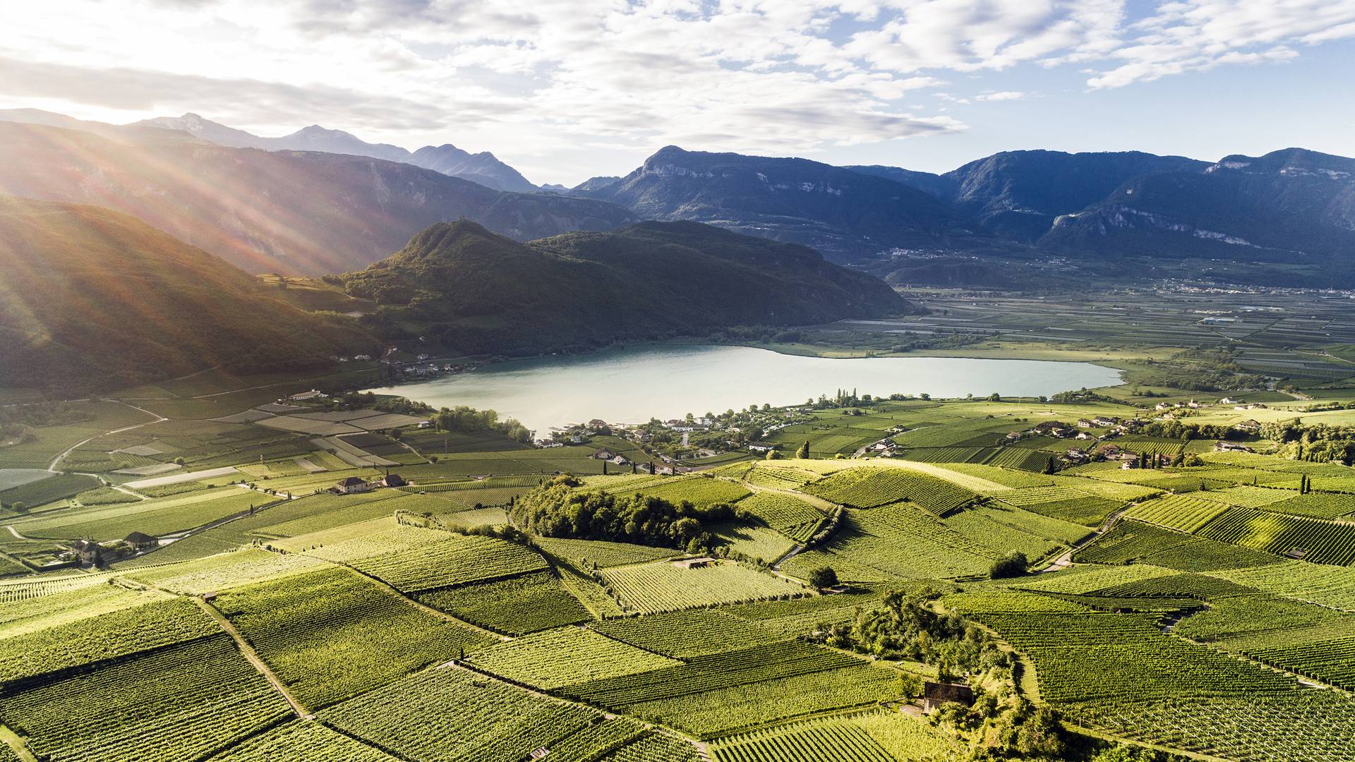 South Tyrol – wine and culinary highlights