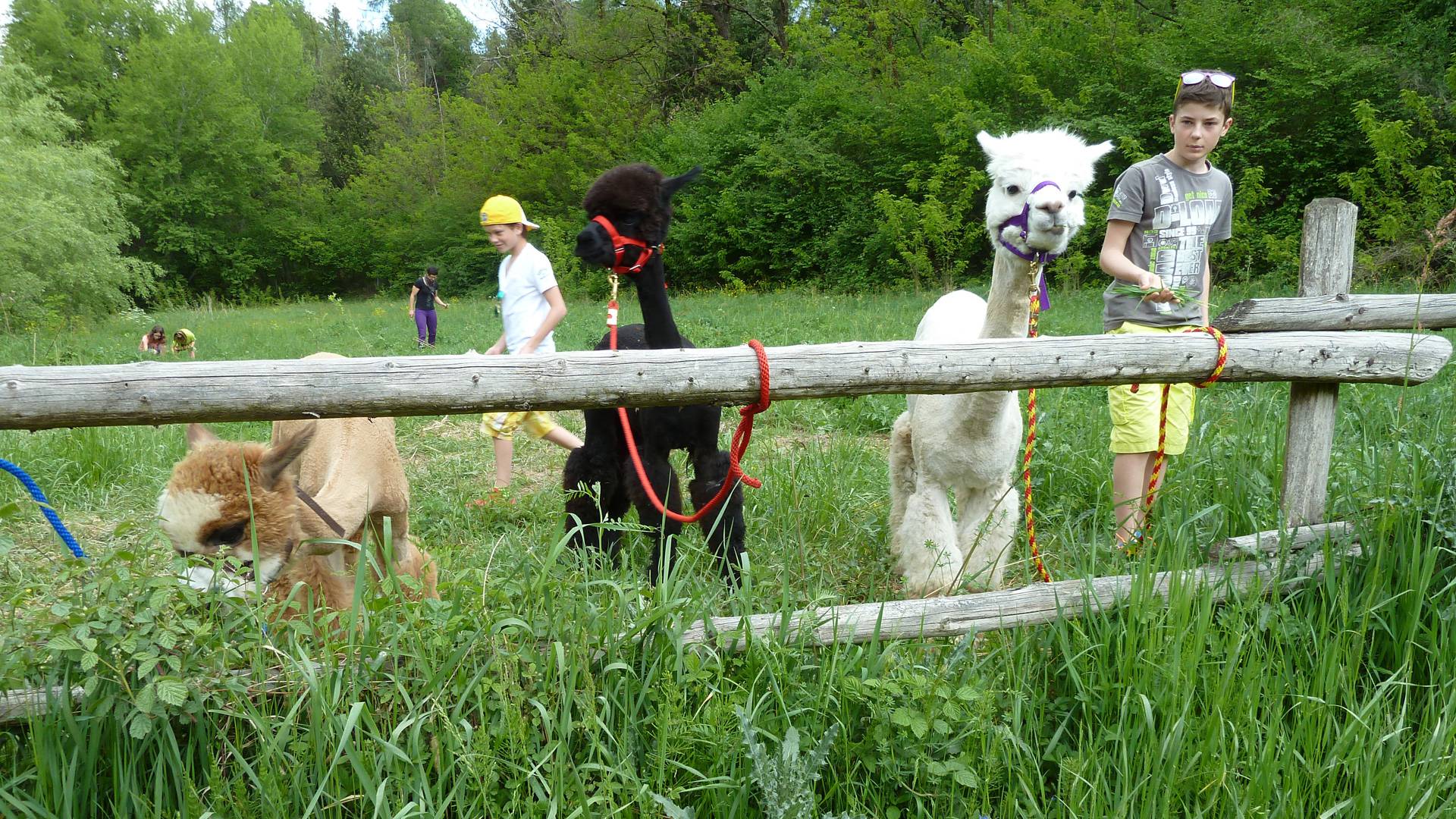 Family holidays in South Tyrol at South Tyrol