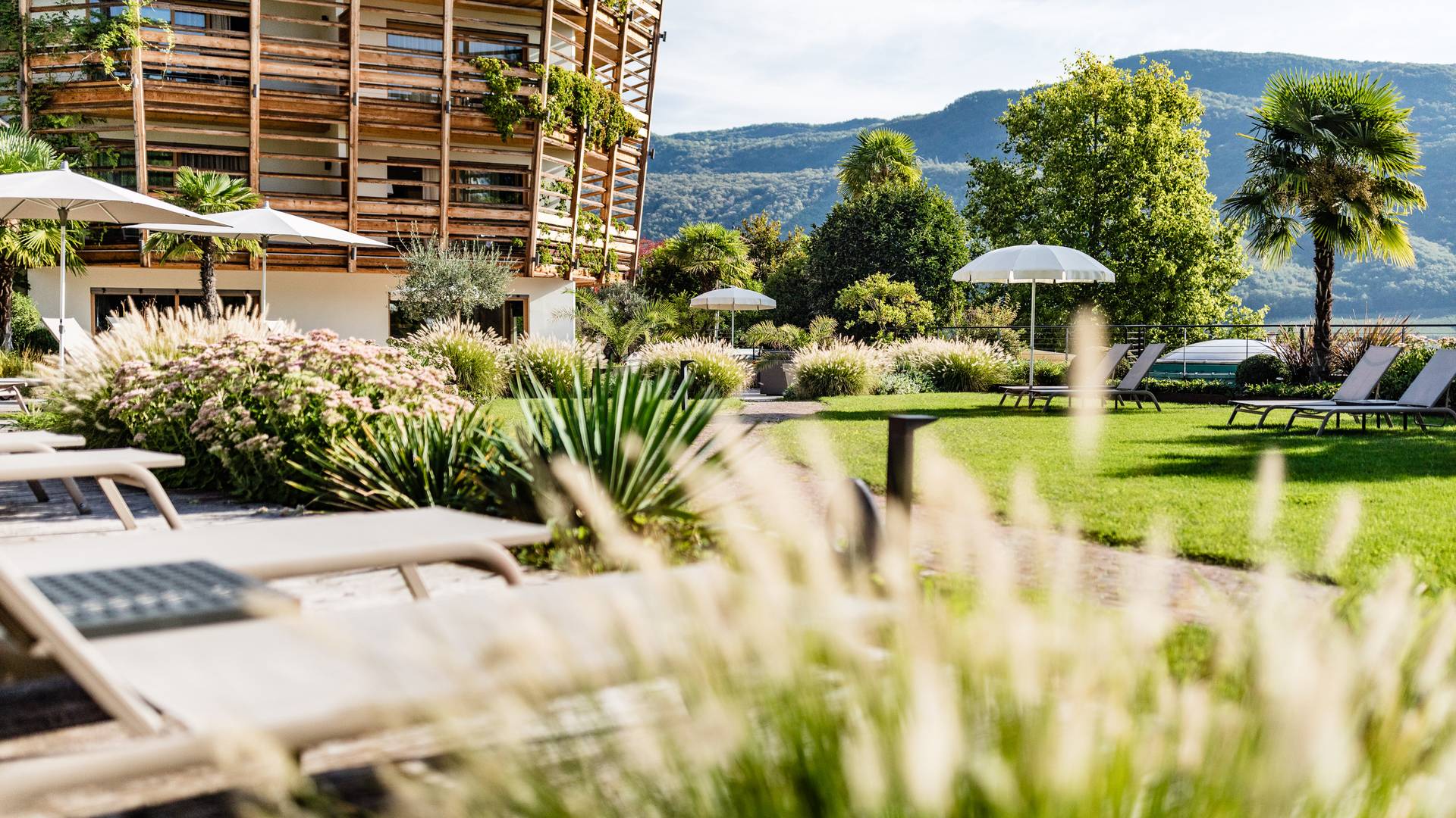 Offers from your hotel by Lago di Caldaro/Kalterer See