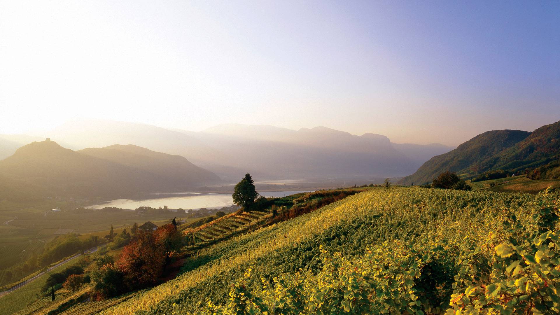 Südtiroler Weinstrassenhotels – Ihre Wellnesshotels in Südtirol